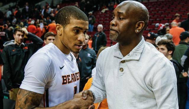 的成功率 的成功率